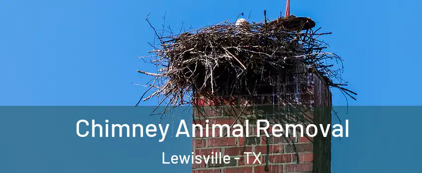  Chimney Animal Removal Lewisville - TX