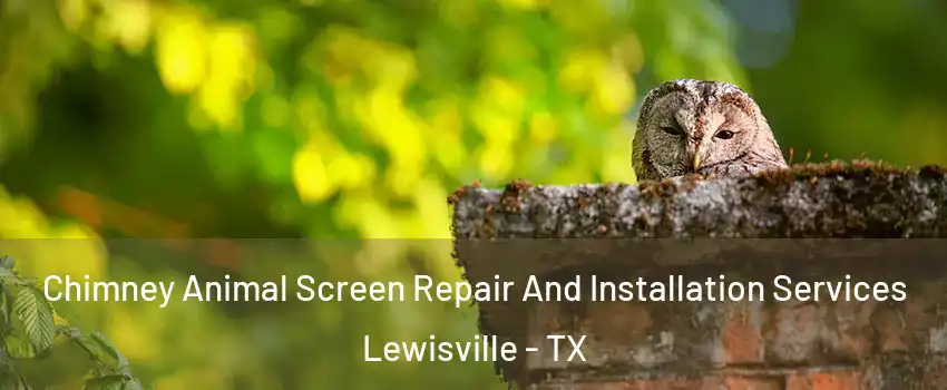  Chimney Animal Screen Repair And Installation Services Lewisville - TX