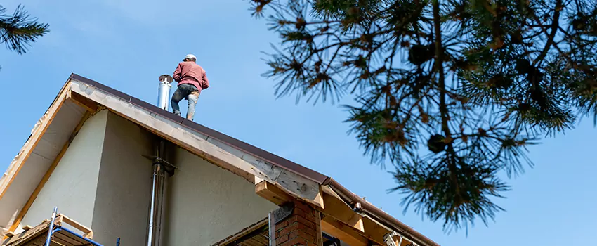 Birds Removal Contractors from Chimney in Lewisville, TX